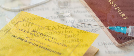 Tanzania Travel Health Tips: Vaccines, Malaria & Safe Travels